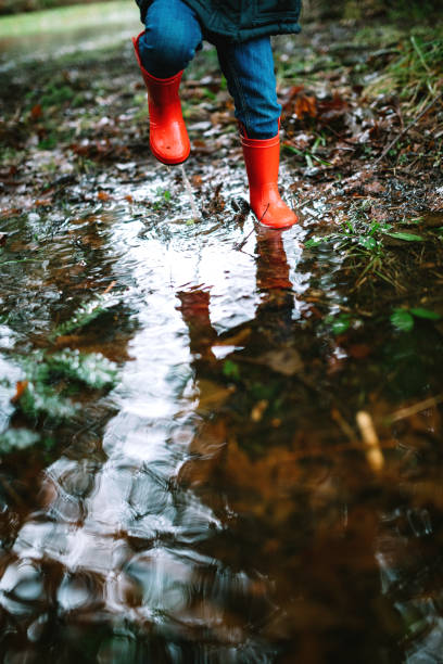 istock Little Girl Plays in Puddles From Heavy Rainfall 1296368379