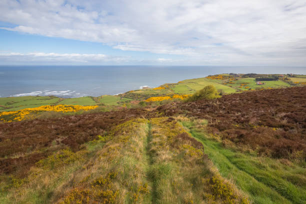 istock Ravenscar, North Yorkshire 1296369266