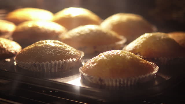 Timellapse of muffins cupcakes baking in oven