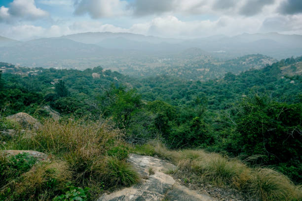 istock Green valley and mountain range with moody sky 1296379685