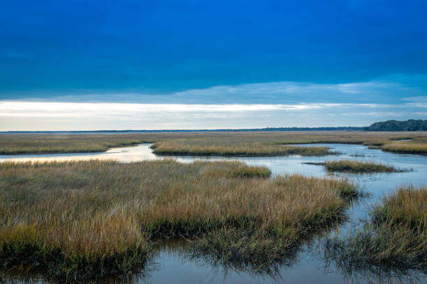istock Cloud Layers over Florida Nature Preserve 1296380483