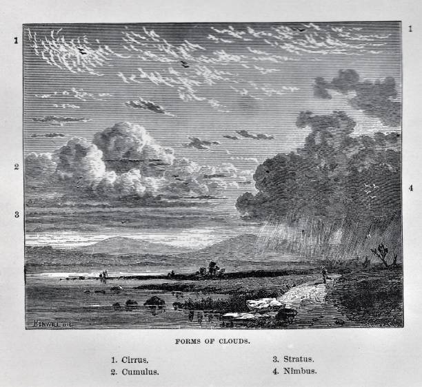 Cloud Types Four cloud formations: Cirrus, Cumulus, Stratus, Nimbus. Illustration published in Physical Geology by Mytton Maury (University Publishing Company, New York and New Orleans) in 1894. Digitally restored. cirrus storm cloud cumulus cloud stratus stock illustrations
