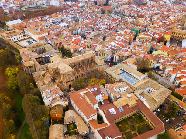 istock Aerial view of Pamplona 1296382569