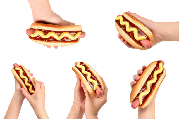 Hot dog in woman hand isolated on white background. Copy space.