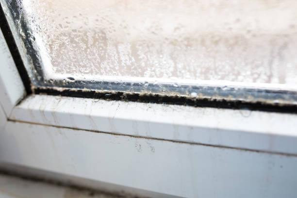istock mold on a foggy plastic window of white color 1296387672