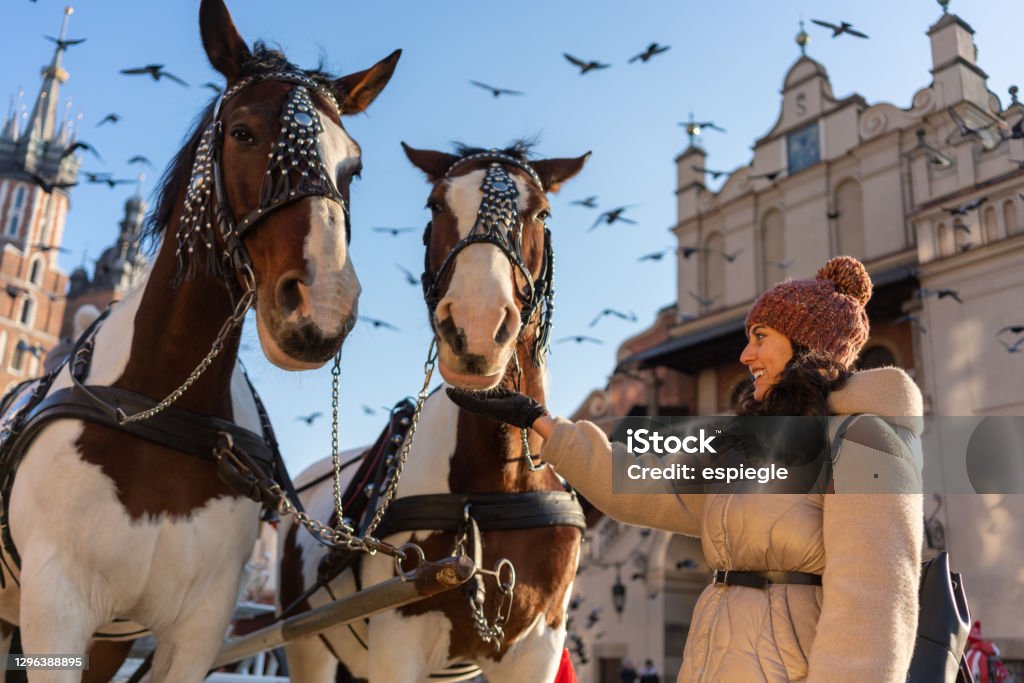 Woman and horses in Krakow at winter Krakow Stock Photo
