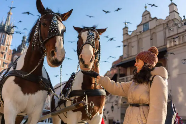 Photo of Woman and horses in Krakow at winter