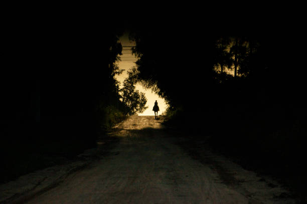 istock landscape of dusk silhouette 1296388994