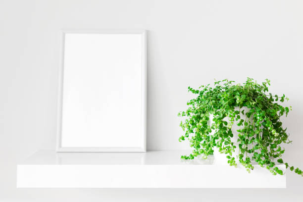istock White photo frame and indoor plant on a bookshelf. 1296389541