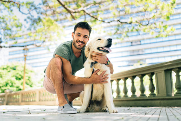 istock Man Walking a Labrador retriever dog 1296390144
