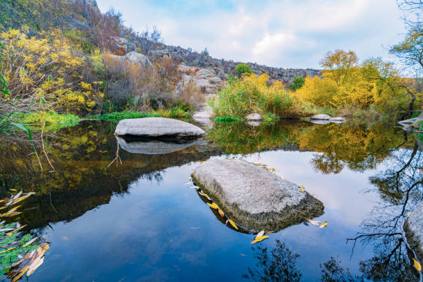 istock A fast clean stream runs among smooth wet stones surrounded by tall dry lumps 1296390512
