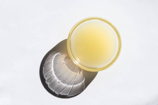suco de limão em uma tigela - lemon juice horizontal composition fruit - fotografias e filmes do acervo