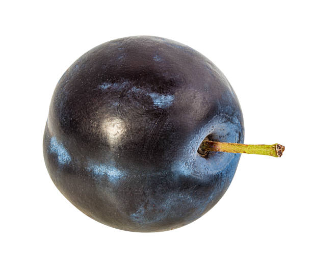 istock Plum isolated on white background with clipping path 1296391520