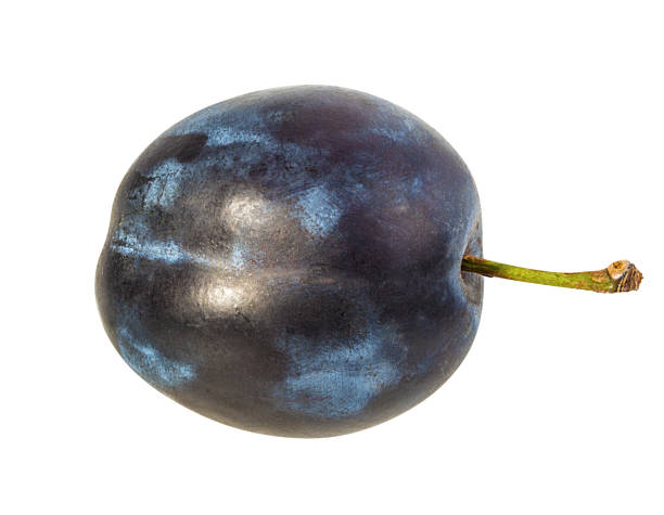 istock Plum isolated on white background with clipping path 1296391578