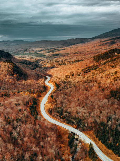 istock winding road in maine 1296392753