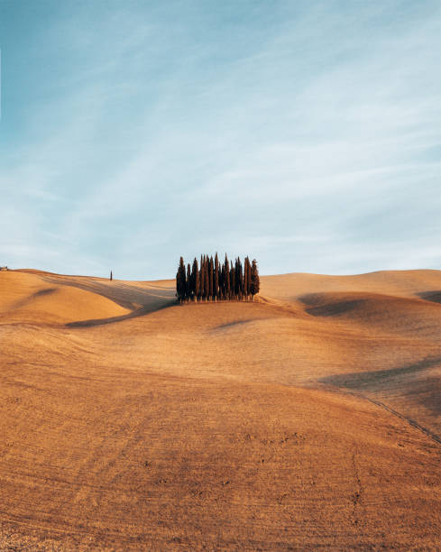 istock sunset landscape with cypress in tuscany 1296393746