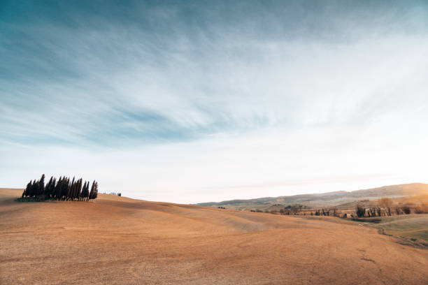 sunset landscape with cypress in tuscany