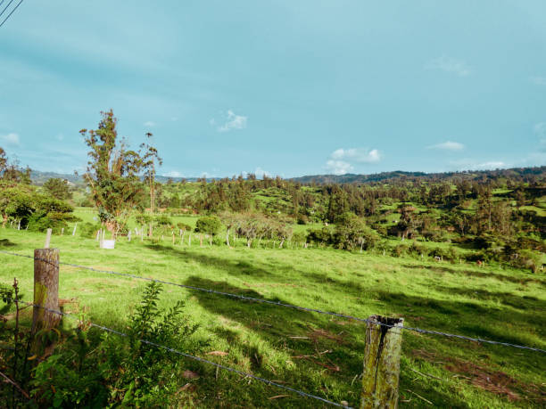istock Clear sky over the landscape 1296393946