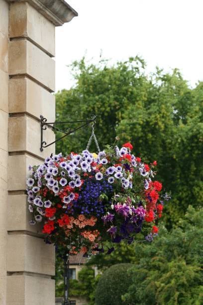 istock Hanging Flower Basket in Bradford-on-Avon 1296394703