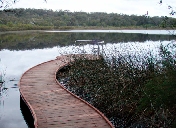 istock a pedestrian bridge or footbridge at the beach 1296398360