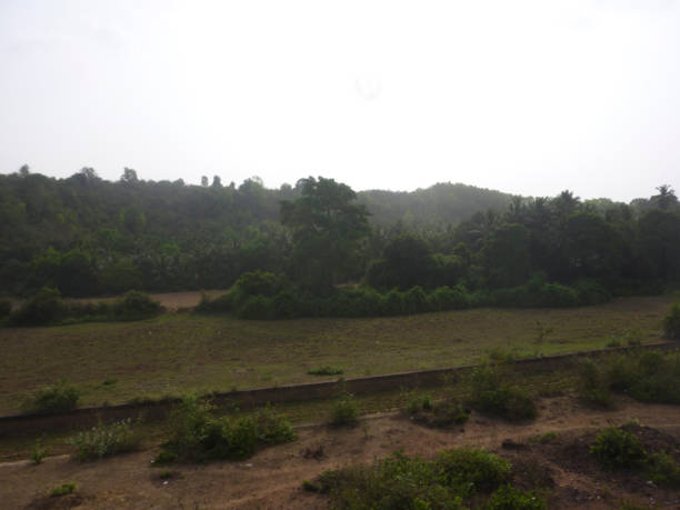 istock agriculture and farming in india 1296400717