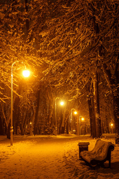 istock Footpath in a winter city park. Row of lanterns. 1296405247