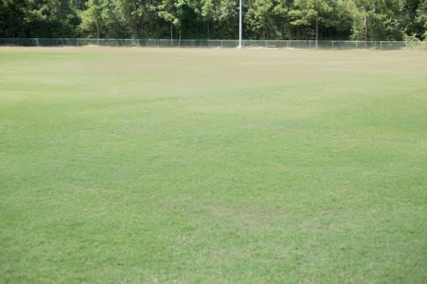 istock Baseball season is here.  Outfield. 1296406311