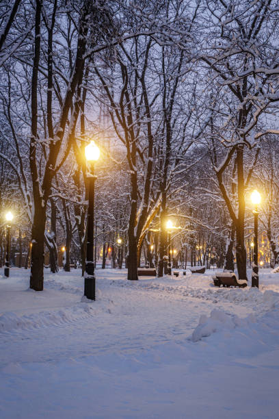 istock Snowy city park on a winter night 1296406334