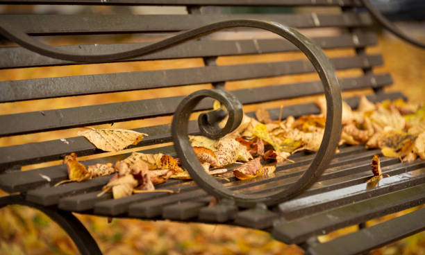 istock Wrought iron bench with autumn leaves 1296406681