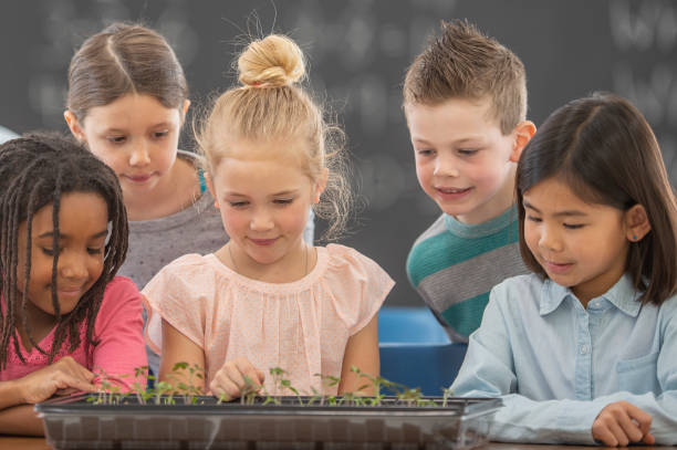 istock Look at our plants grow! 1296409428