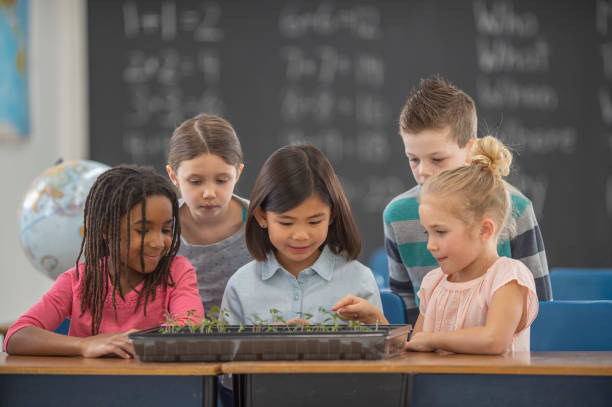 istock Look at our plants grow! 1296409429