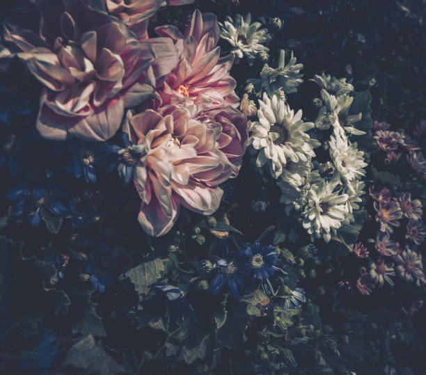 Flower Field background. Vintage style