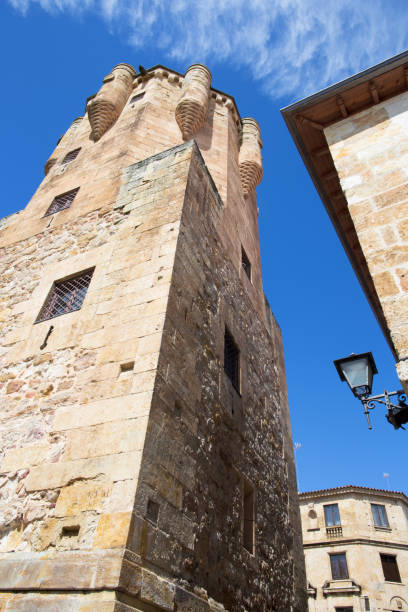 istock Salamanca - The Clavero Tower 1296410880