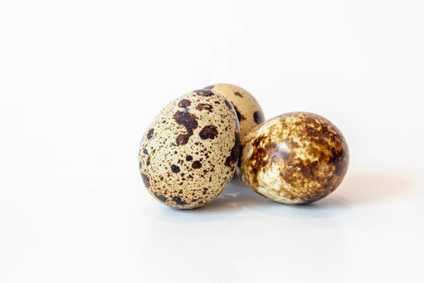 Grouping of Three Spotted Quail Eggs on a Kitchen Counter Top Three Spotted brown and white Quail eggs set on a counter top as a background coturnix quail stock pictures, royalty-free photos & images