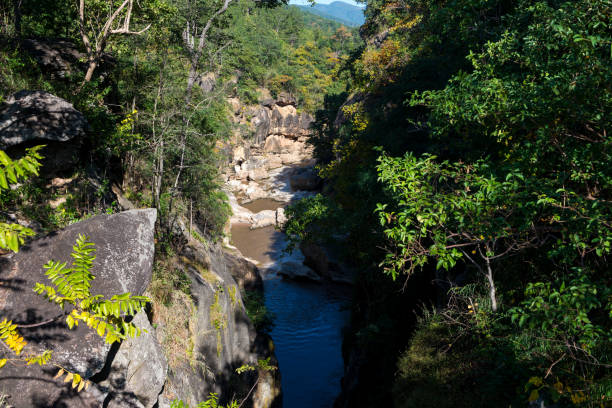 istock Op luang National Park in Chiangmai Thailand. 1296413406