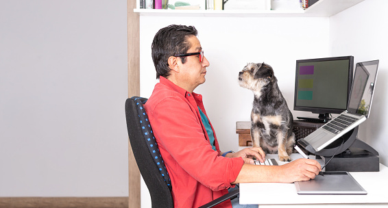 Latino freelancer man working on his computer with external monitor and graphic tablet while his dog watches him attentively. Home design studio concept