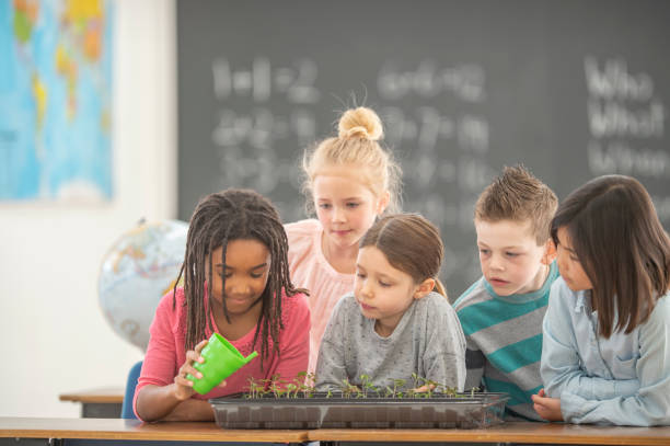 istock Taking care of our indoor plants 1296414136