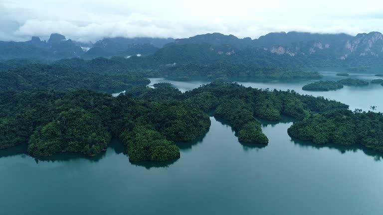 Aerial view of mountain complex in the forest and lake or pond in foggy weather