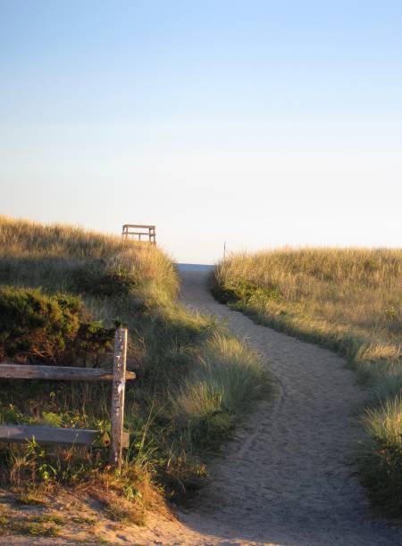 con đường dẫn đến bãi biển, trống rỗng, bên cạnh cồn cỏ - cape cod bức ảnh hình ảnh sẵn có, bức ảnh & hình ảnh trả phí bản quyền một lần
