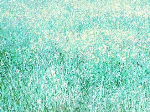 Background; green grass, soft focus, painterly impressionist effect, sun dappled