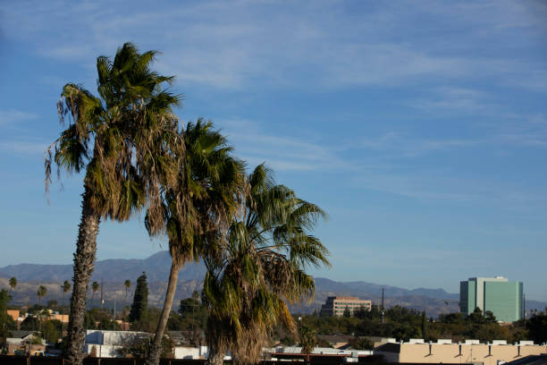 istock Santa Ana, California 1296423887