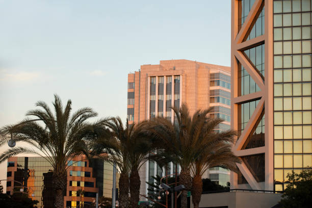 istock Santa Ana, California 1296424803