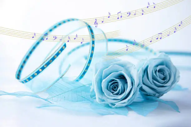Photo of blue ribbon and roses
