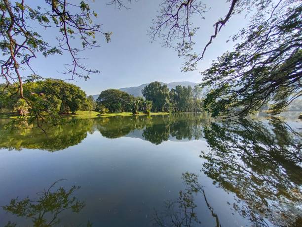istock landscape in the lake 1296432978