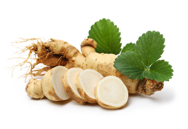 raíces de ginseng - ginseng fotografías e imágenes de stock