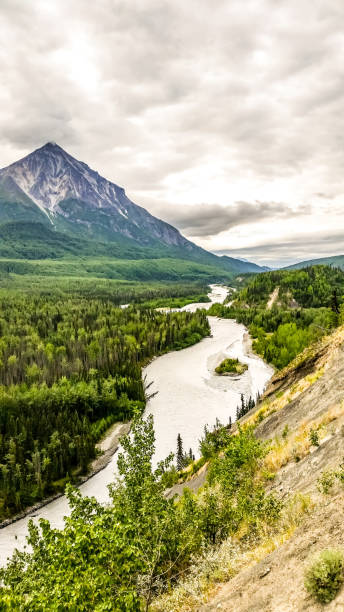 istock Mountains of Alaska in Summer 1296438462