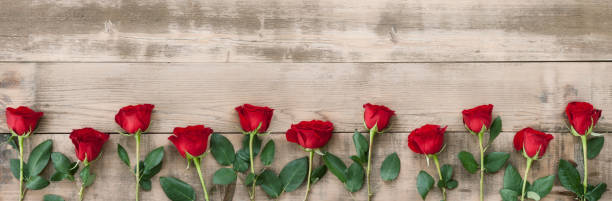 Valentine's Day Roses on Wood Valentine's Day Roses on a Wood Surface february stock pictures, royalty-free photos & images