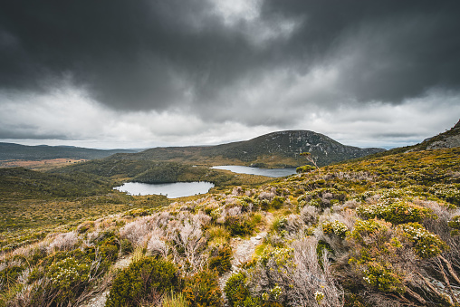 Aerial view showing a lake surrounded by rugged landscape seen from top of the Cradle Mountain in Tasmania, Australia.