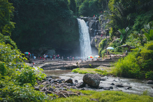 istock Beautiful waterfall with tropical plants in Bali, Indonesia 1296441935