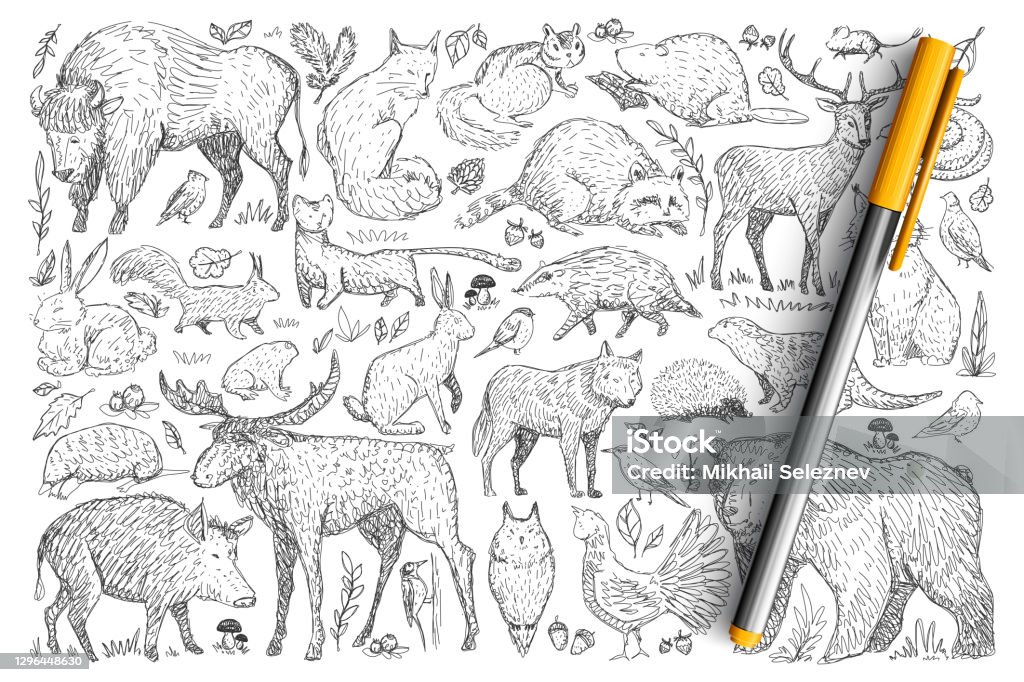 Forest Wild Animals Doodle Set Stock Illustration - Download Image Now -  Drawing - Activity, Fox, Drawing - Art Product - iStock